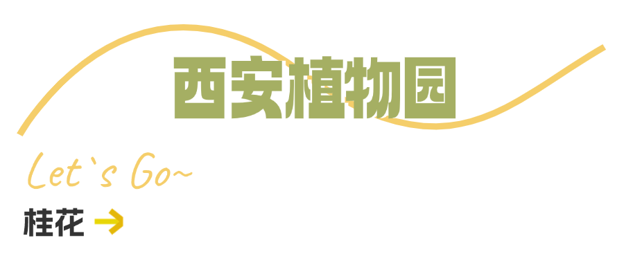 西安周边旅游休闲放松推荐：这些赏秋地错过等一年！“含秋量”爆棚！-第37张图片