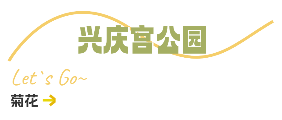 西安周边旅游休闲放松推荐：这些赏秋地错过等一年！“含秋量”爆棚！-第44张图片