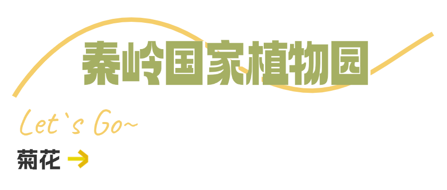 西安周边旅游休闲放松推荐：这些赏秋地错过等一年！“含秋量”爆棚！-第49张图片