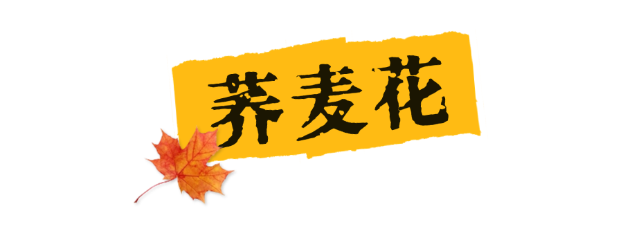 西安周边旅游休闲放松推荐：这些赏秋地错过等一年！“含秋量”爆棚！-第54张图片