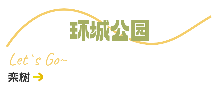 西安周边旅游休闲放松推荐：这些赏秋地错过等一年！“含秋量”爆棚！-第62张图片