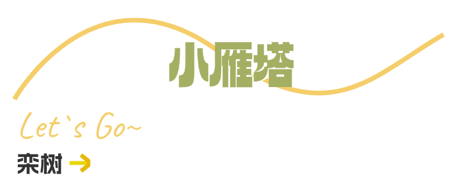 西安周边旅游休闲放松推荐：这些赏秋地错过等一年！“含秋量”爆棚！-第70张图片