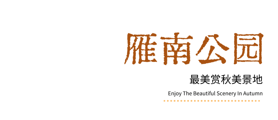 就在城区，不用远行！西5个绝美赏秋地！太惊艳了！西安旅游赏秋-第1张图片