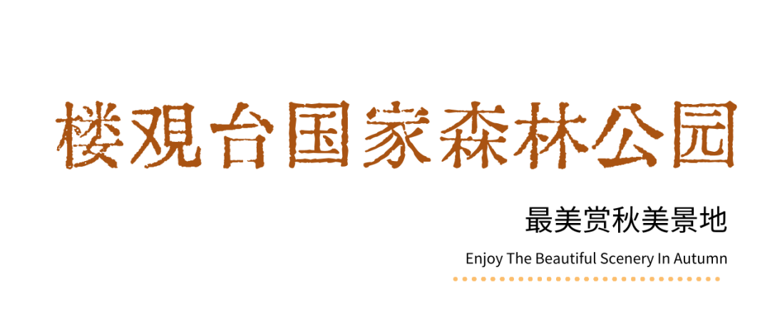 就在城区，不用远行！西5个绝美赏秋地！太惊艳了！西安旅游赏秋-第7张图片