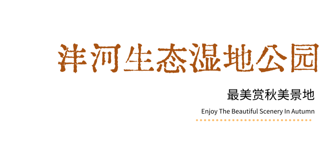 就在城区，不用远行！西5个绝美赏秋地！太惊艳了！西安旅游赏秋-第15张图片