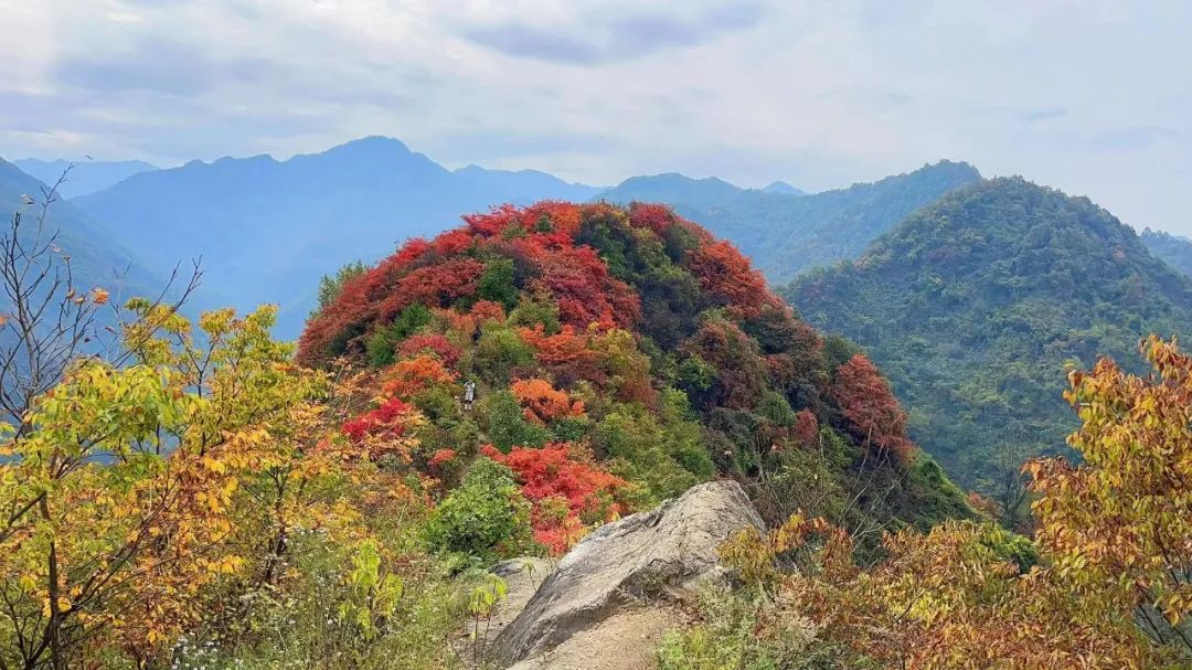 西安周边13个赏红叶最佳好地推荐，从南到北，秦岭红了！-第21张图片