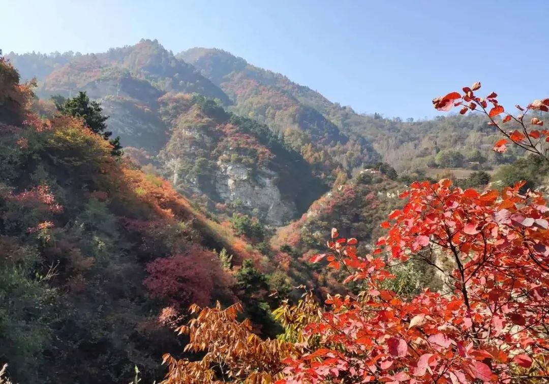 想要赏秋？西安哪里赏秋最好呢？西安休闲夜娱乐，看这些地方-第11张图片