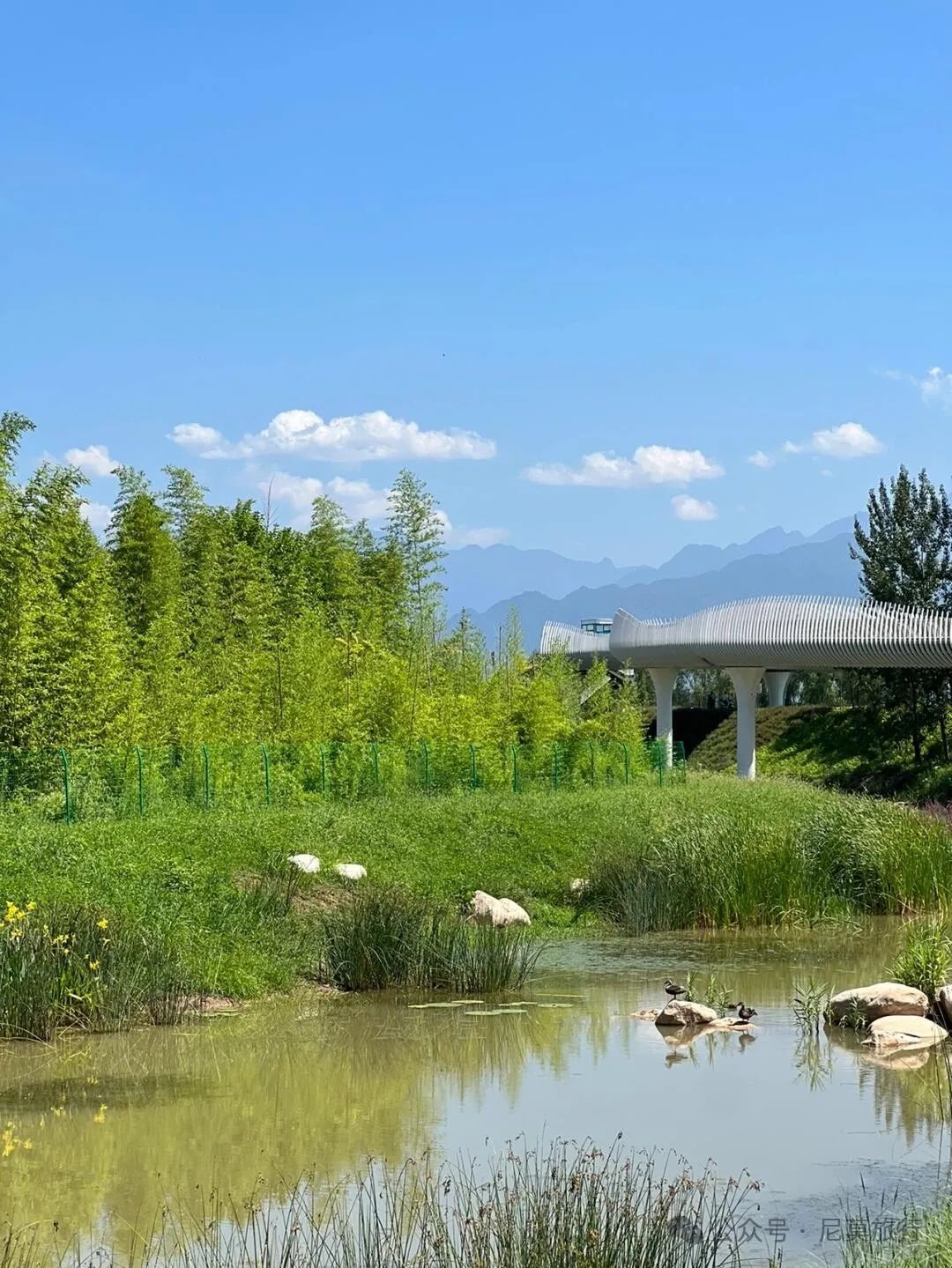 风景超好、人很少，地铁1小时可达！西安秦岭脚下又发现一处山水宝藏公园-第8张图片