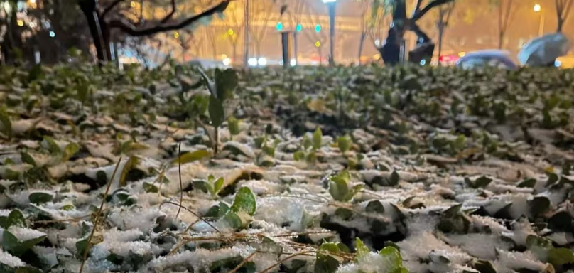 西安雨雨雨、中到大雪！禁止通行！大范围雨雪马上来！陕西紧急预警！-第6张图片