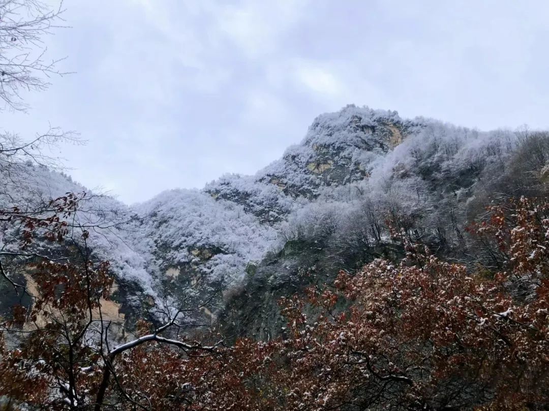 西安这里半山彩林半山雪！惊艳上线！西安冬季旅游风景-第5张图片