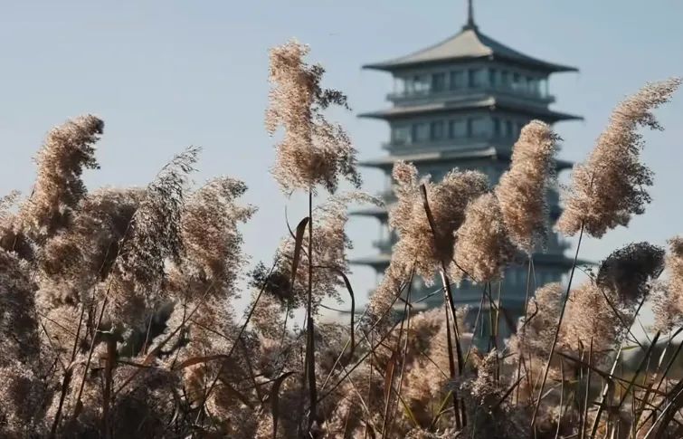 西安冬日夜娱美图出片圣地，这几个地方简直太完美了-第13张图片