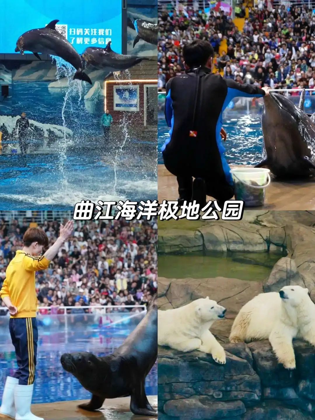第3个能玩水又能看狼群，假期必刷！五一带娃必去的西安8大娱乐主题乐园！-第8张图片