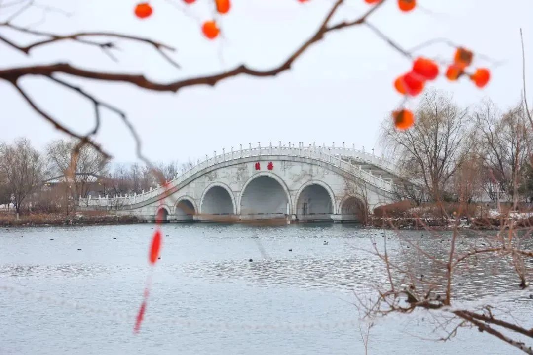 西安娱乐风景超绝的公园:踏青赏春,公园里的春日画卷 第1张