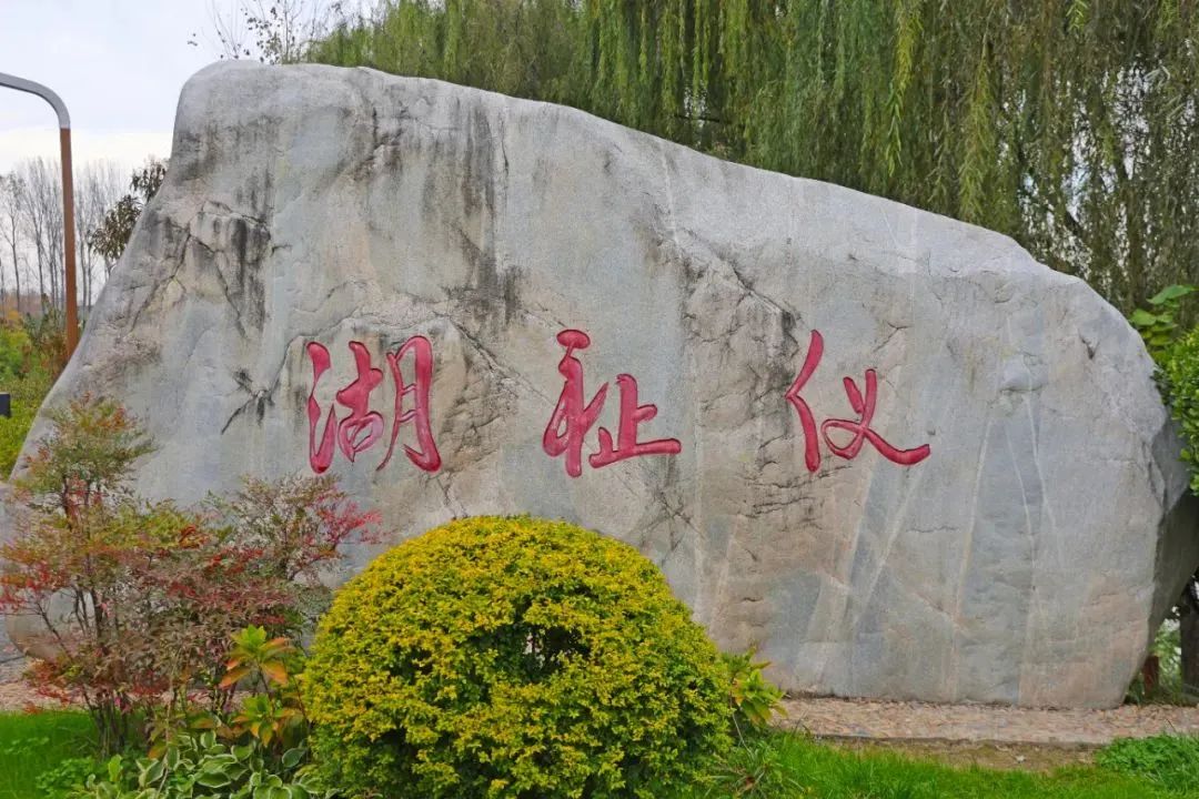 西安娱乐风景超绝的公园:踏青赏春,公园里的春日画卷 第7张