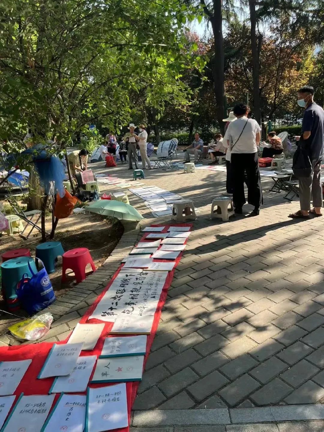 西安娱乐风景超绝的公园:踏青赏春,公园里的春日画卷 第40张