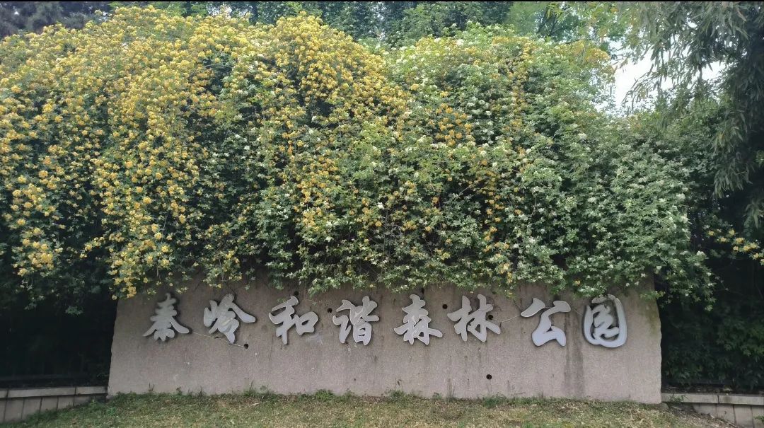 西安周边这5个宝藏公园带娃走起!西安免费娱乐公园 第4张