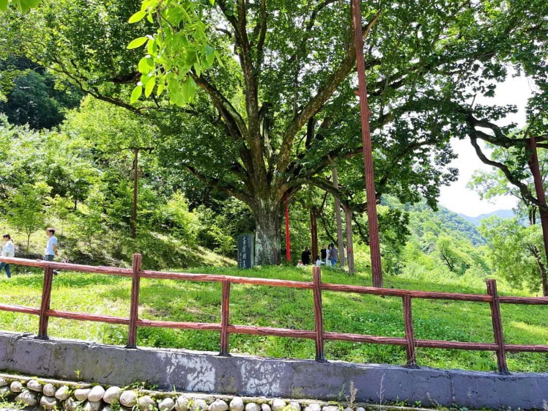 一起逃离炎热的夏天!西安周末纳凉娱乐放松好去处→避开人从众 第11张