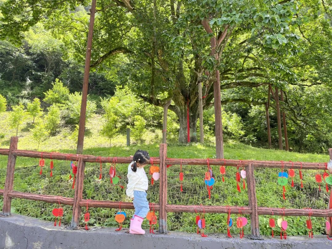一起逃离炎热的夏天!西安周末纳凉娱乐放松好去处→避开人从众 第14张