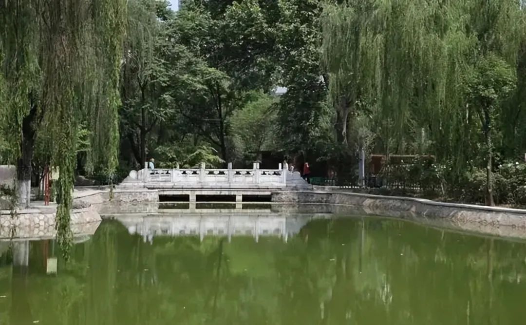 “遛娃散心”公园,环境优美,不输兴庆宫公园!西安放松娱乐休闲,地体直达 第3张
