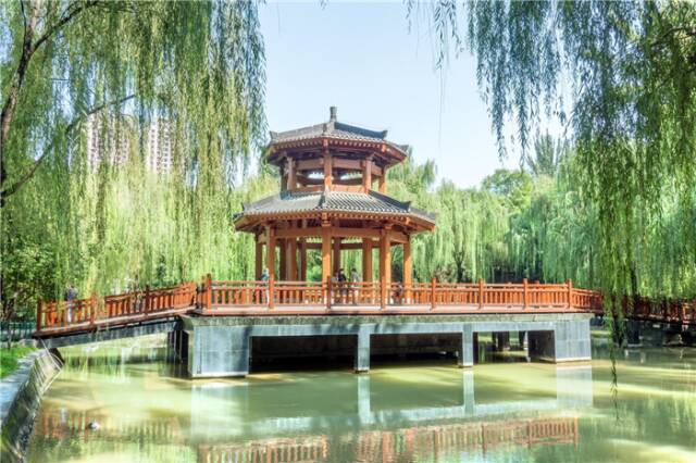 “遛娃散心”公园,环境优美,不输兴庆宫公园!西安放松娱乐休闲,地体直达 第7张